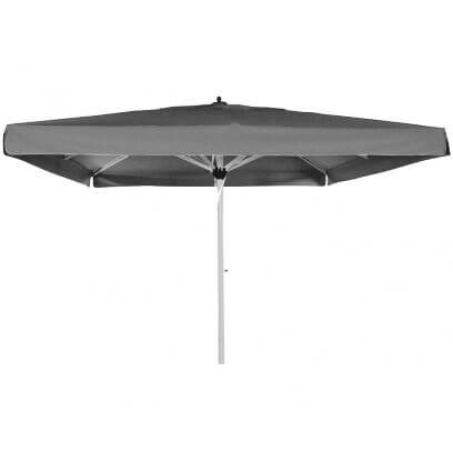 parasol